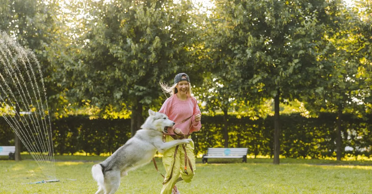 Daily Routines for Happier Pets: What You Need to Know
