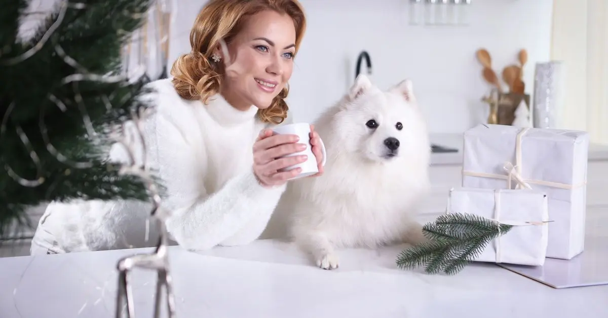 The Benefits of Spaying and Neutering Pets