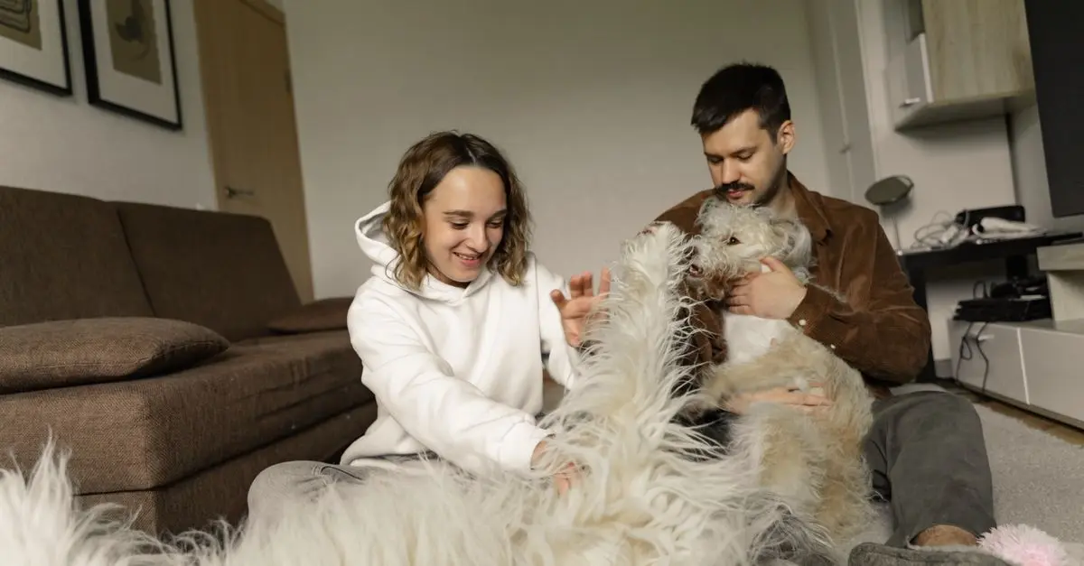 The Ultimate Guide to Creating a Stress-Free Pet Environment