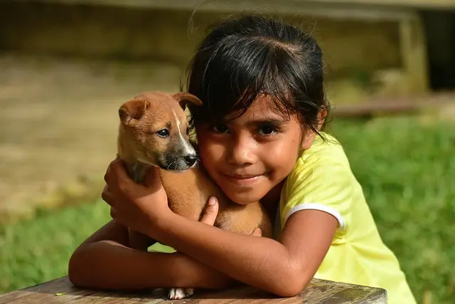 Pet Happiness Trends to Watch in 2026