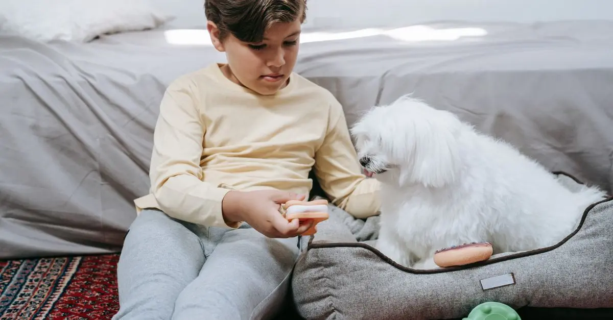 How to Create a Stress-Free Environment for Your Pet