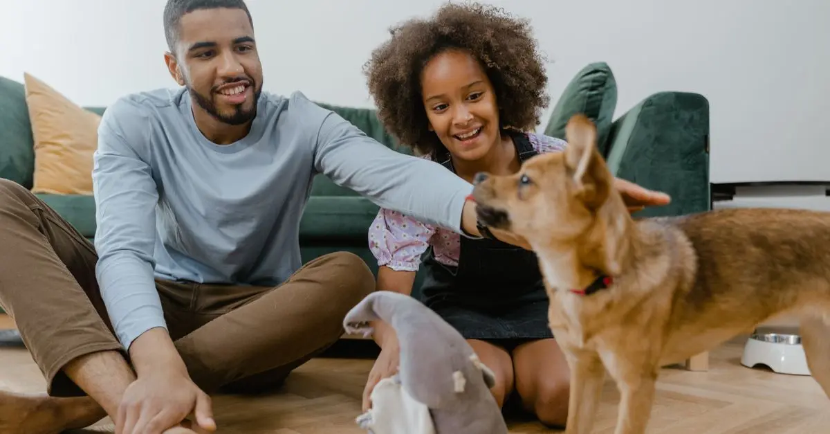 The Importance of Routine for Your Pet's Happiness