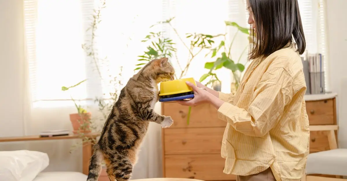 How to Choose the Best Pet Food for Happiness and Health