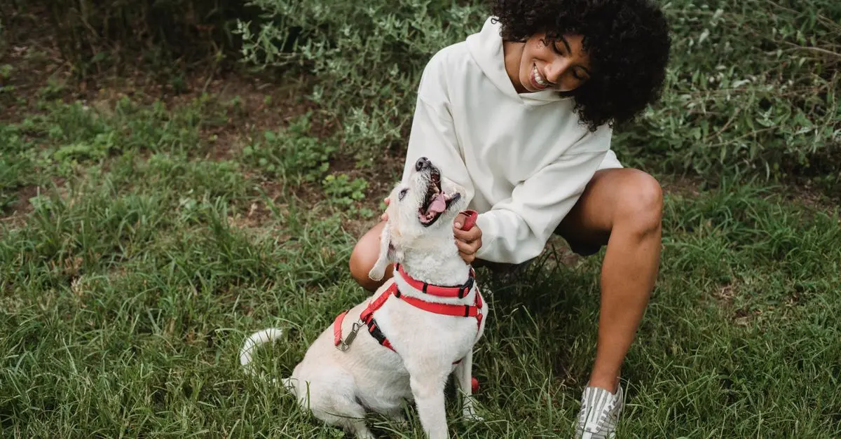 Top Trends in Pet Care for a Happier Pet in 2026